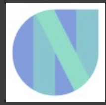 Newton School logo